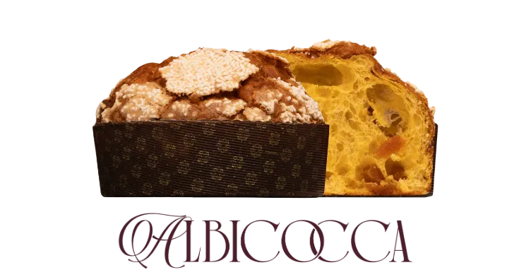 Panettone Albicocca